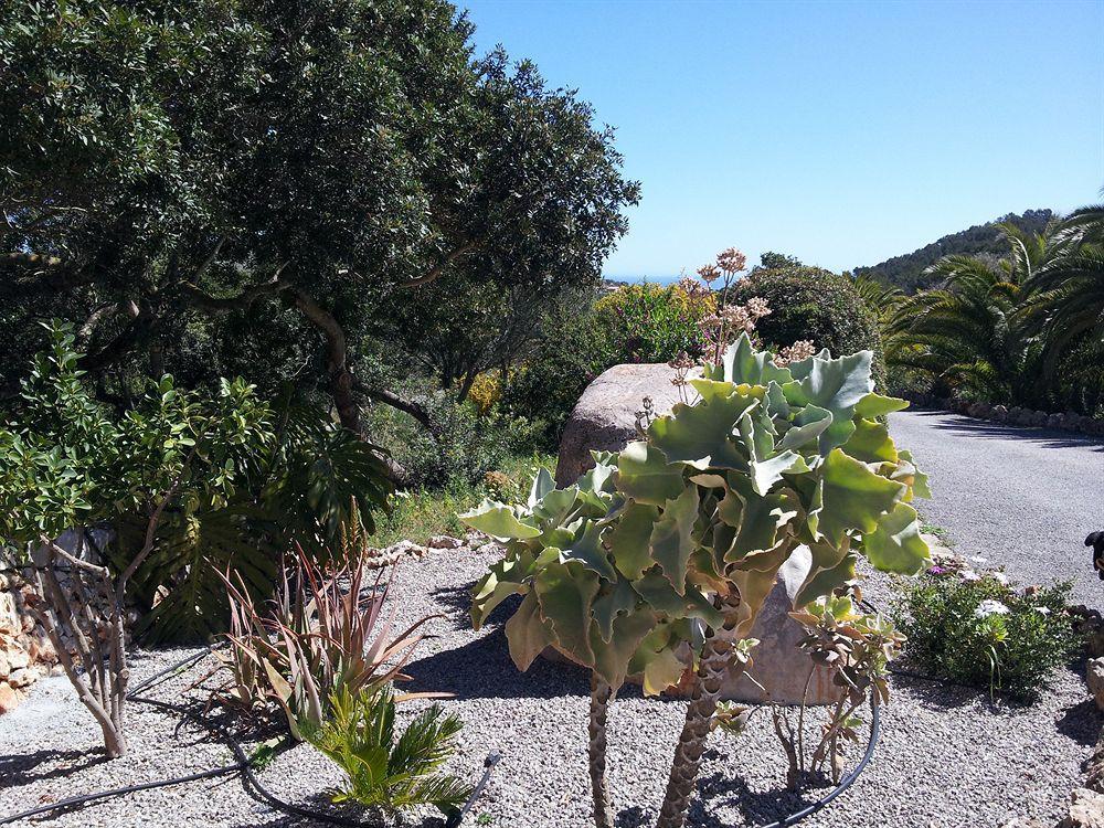 Es Picot Feriegård Son Macia (Mallorca)