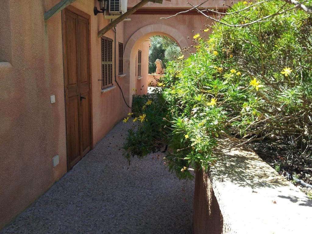 Feriegård Es Picot Son Macia (Mallorca)